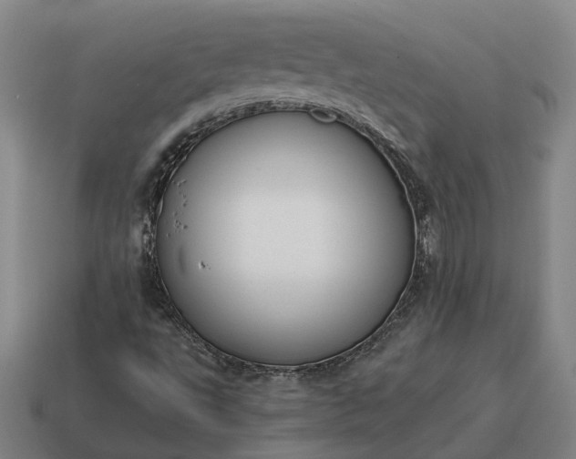 X0000115121495200911101616