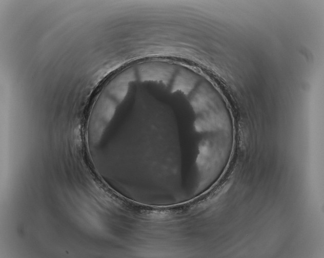 X0000115121497200911101616
