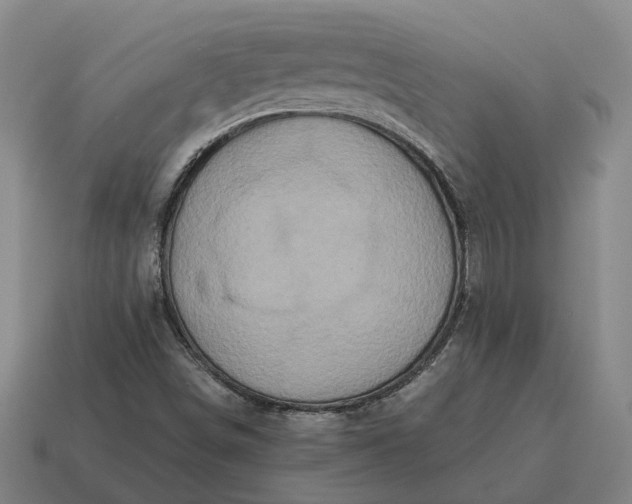 X0000115121498200911101616