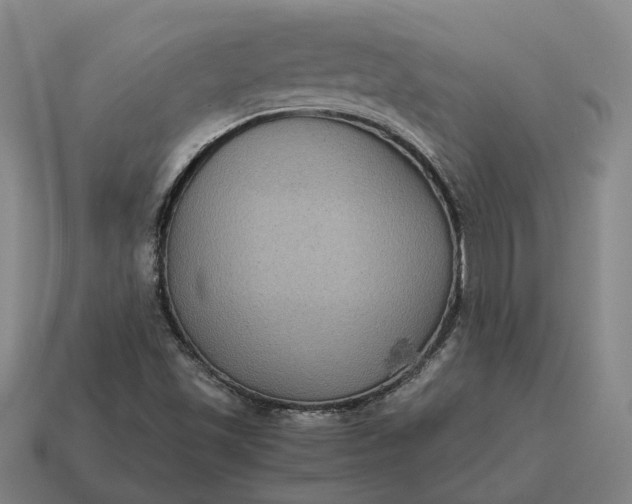 X0000115121501200911101616
