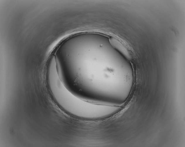 X0000115121502200911101616