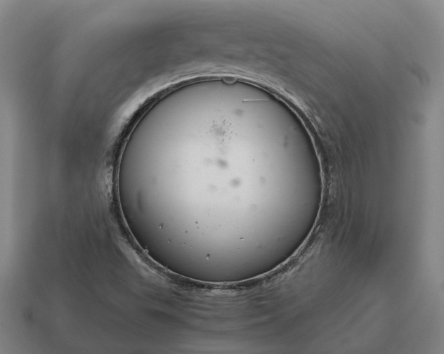 X0000115121503200911101616