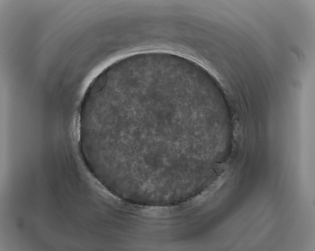 X0000115121510200911101616