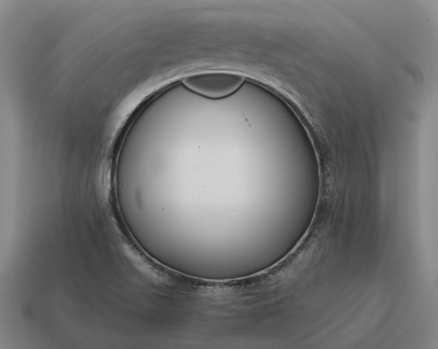 X0000115121511200911101616