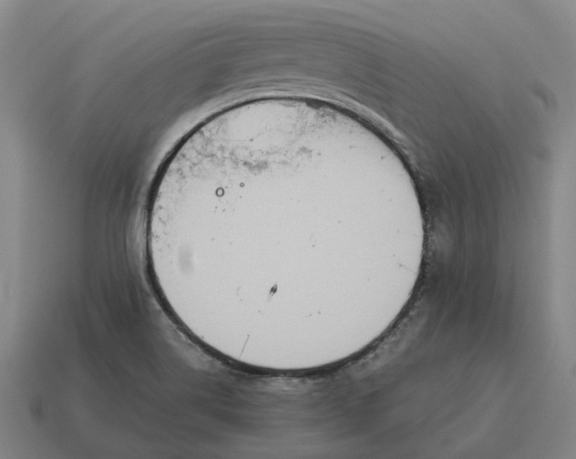 X0000115121514200911101616