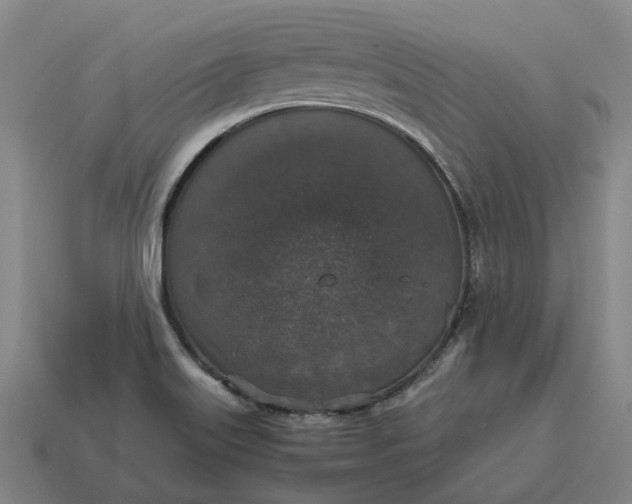 X0000115121515200911101616