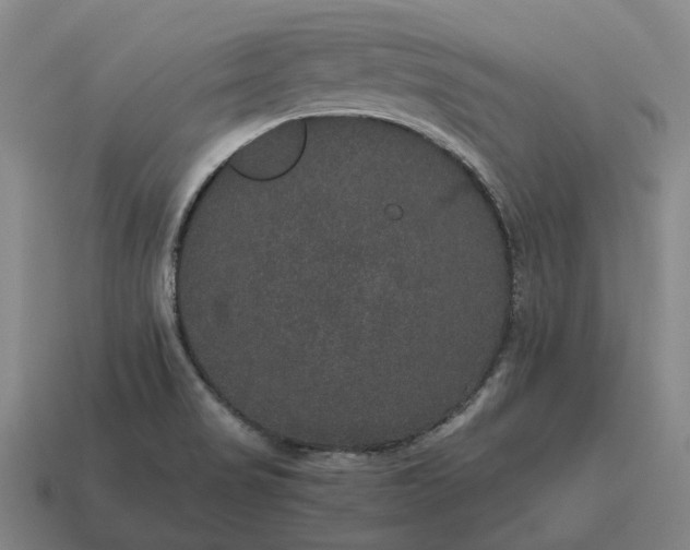 X0000115121517200911101616