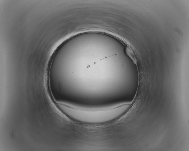 X0000115121518200911101616