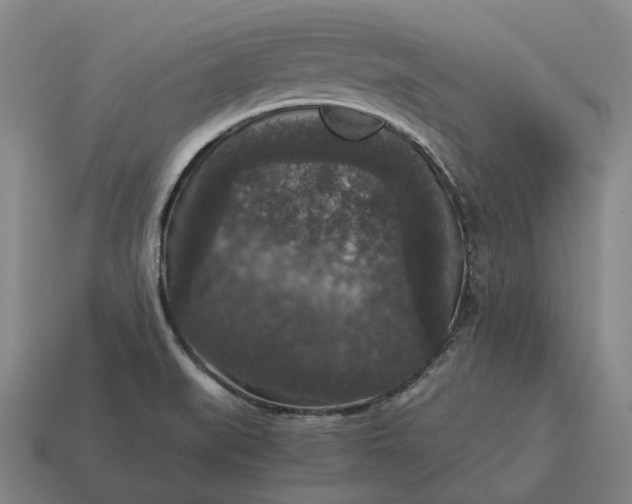 X0000115121519200911101616