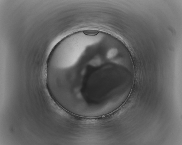 X0000115121522200911101616