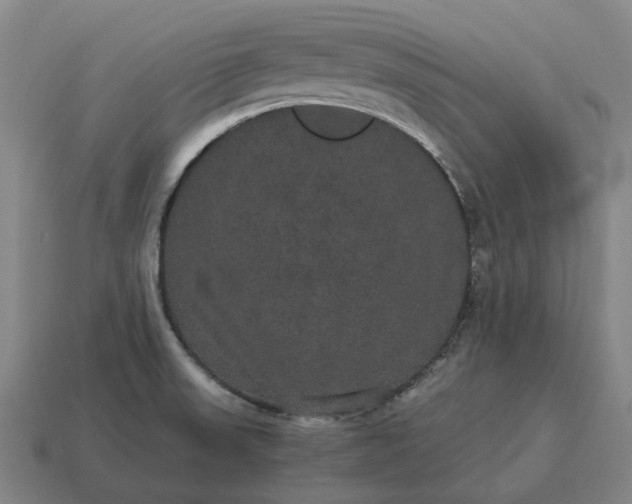 X0000115121523200911101616