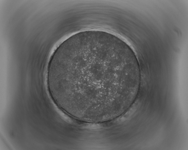 X0000115121525200911101616