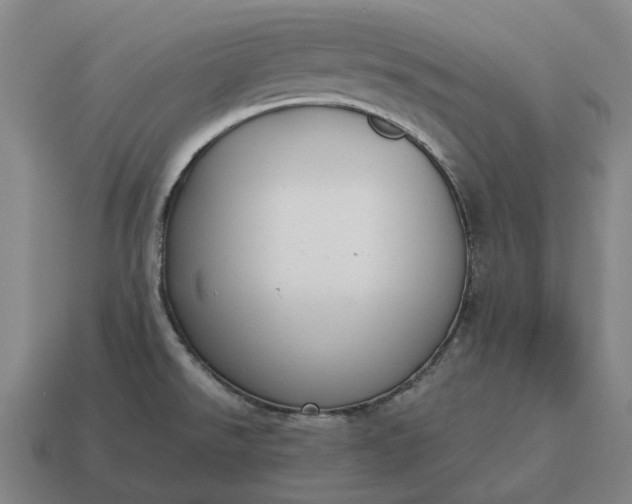 X0000115121526200911101616