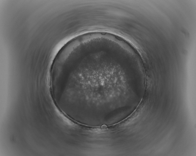 X0000115121527200911101616