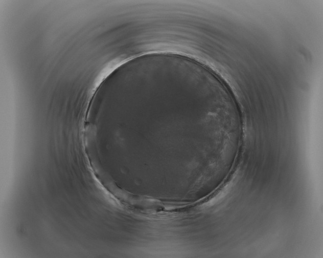 X0000115121529200911101616