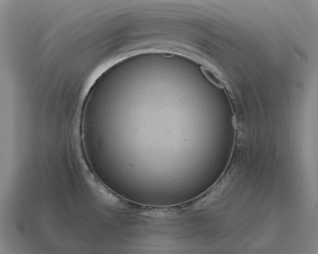 X0000115121530200911101616