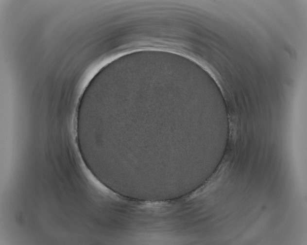 X0000115121531200911101616