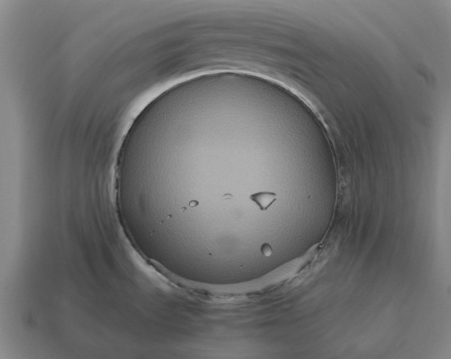 X0000115121535200911101616