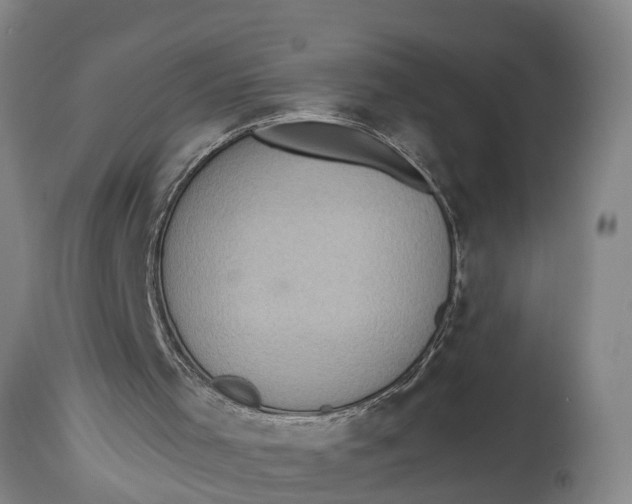 X0000115120001200911171339