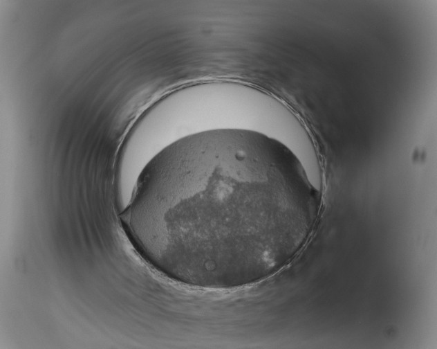 X0000115120002200911171339