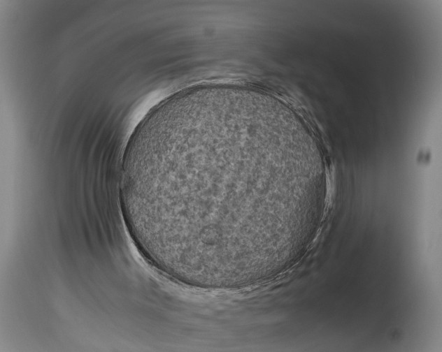 X0000115120003200911171339