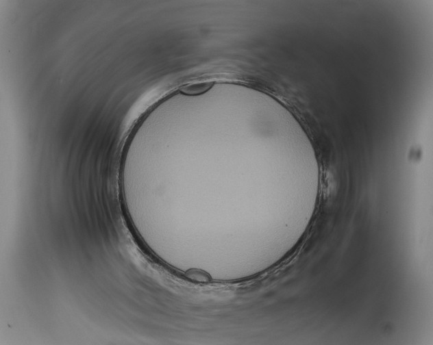 X0000115120004200911171339