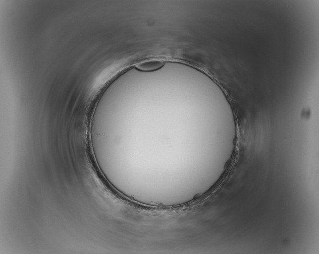 X0000115120005200911171339