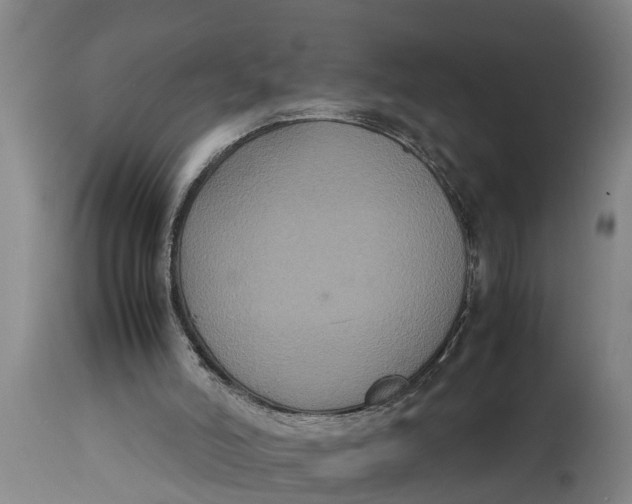 X0000115120006200911171339