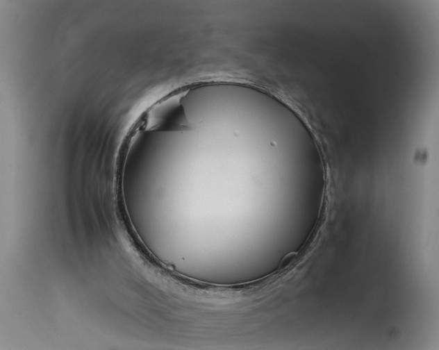 X0000115120008200911171339