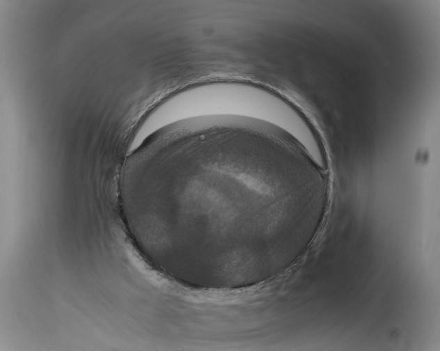X0000115120009200911171339