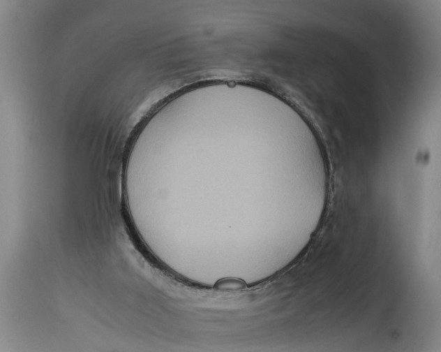 X0000115120011200911171339