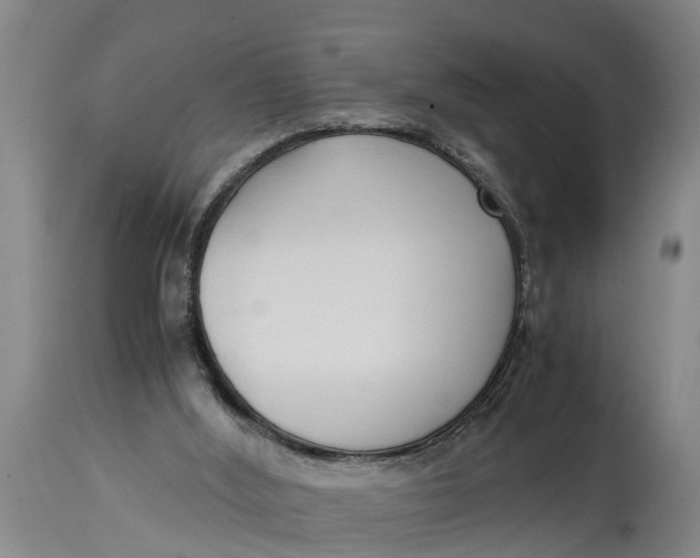 X0000115120012200911171339