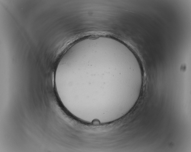 X0000115120013200911171339