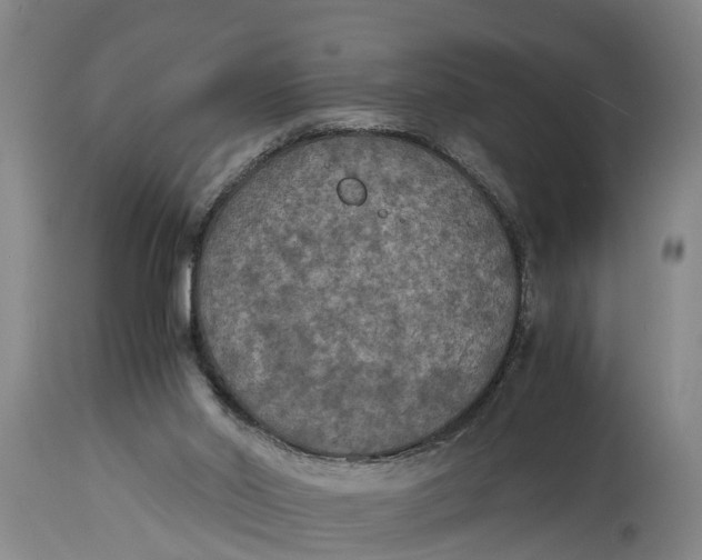 X0000115120014200911171339