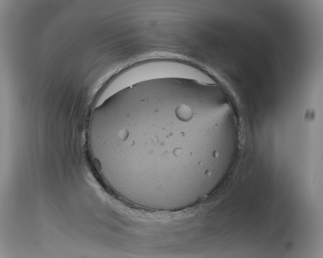 X0000115120015200911171339