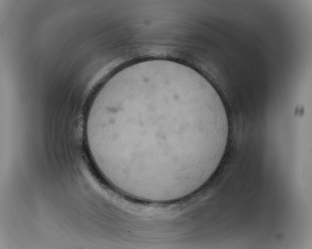 X0000115120016200911171339