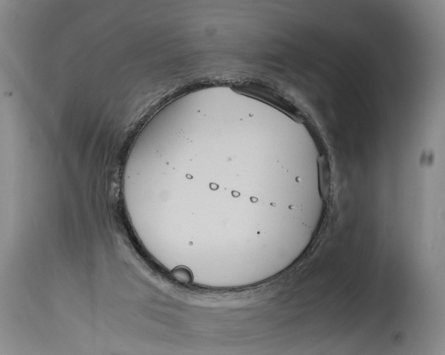 X0000115120017200911171339