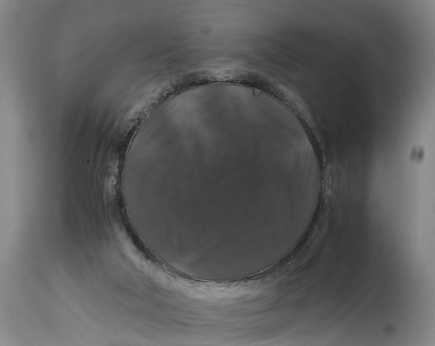 X0000115120018200911171339
