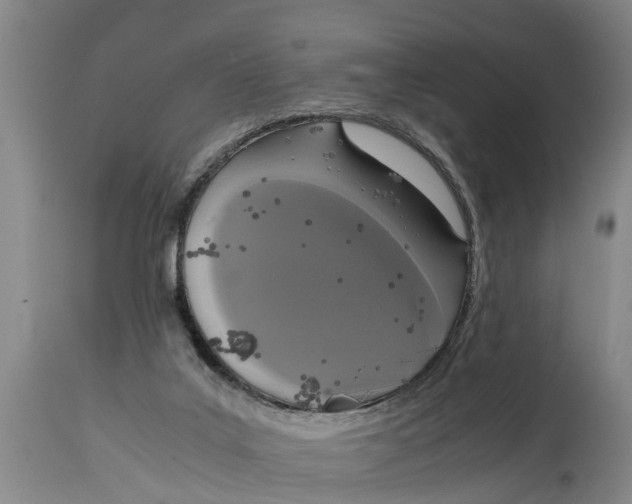 X0000115120019200911171339