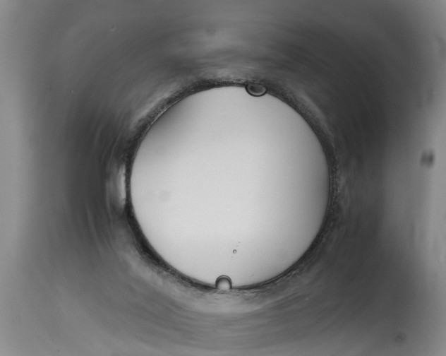 X0000115120020200911171339