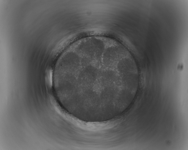X0000115120022200911171339
