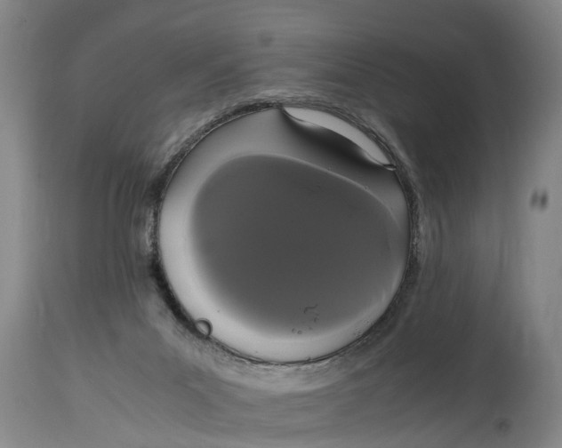 X0000115120023200911171339
