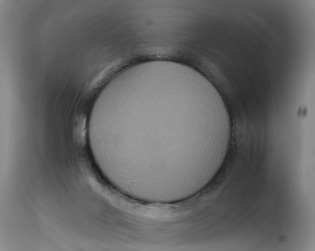 X0000115120024200911171339