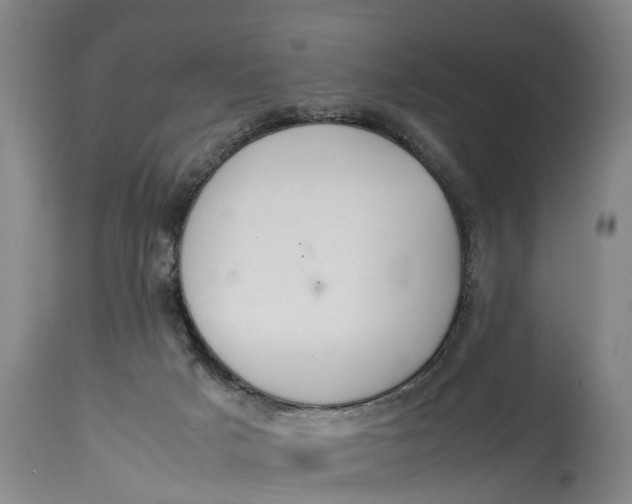 X0000115120025200911171338