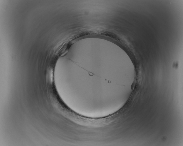 X0000115120027200911171338
