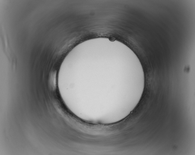 X0000115120028200911171338