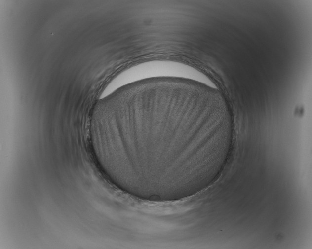 X0000115120029200911171338