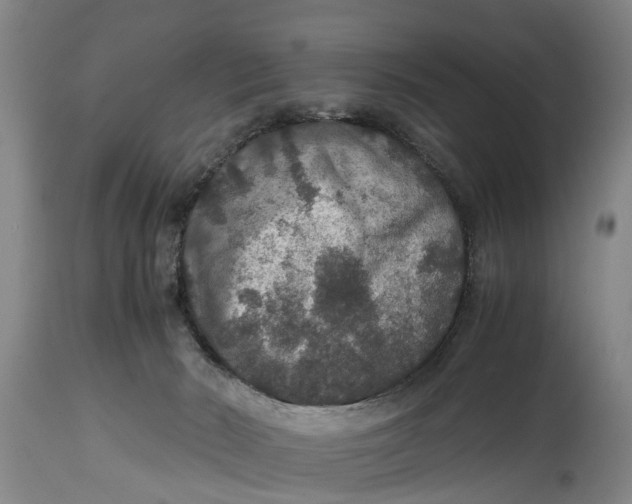 X0000115120030200911171338