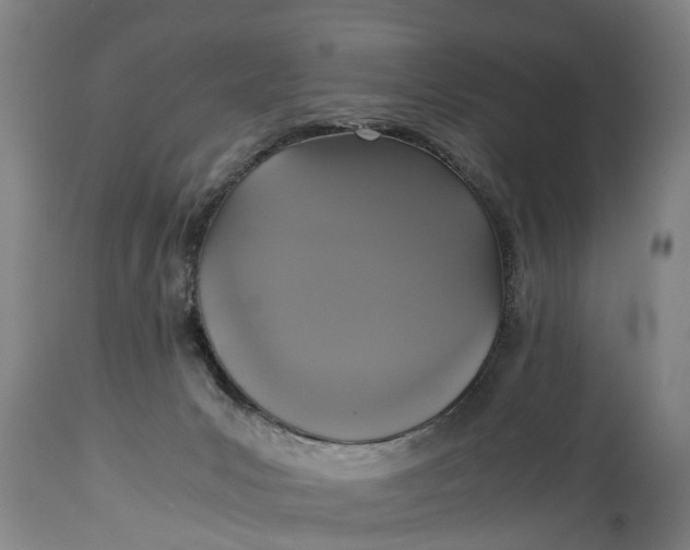 X0000115120031200911171338