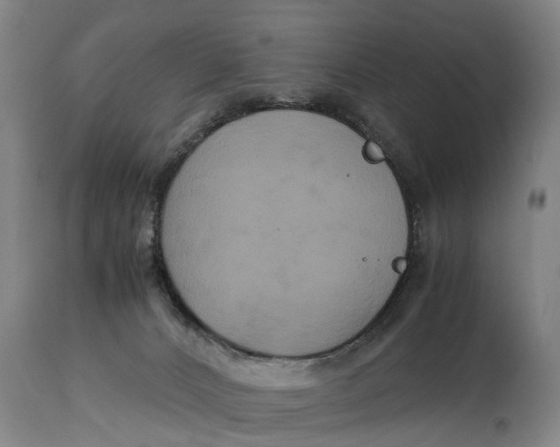X0000115120032200911171338